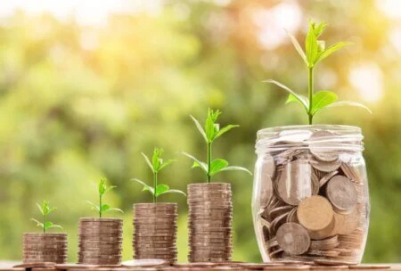 Des bocaux de pièce avec une plante naissante qui représente l'économie à travers l'écologie