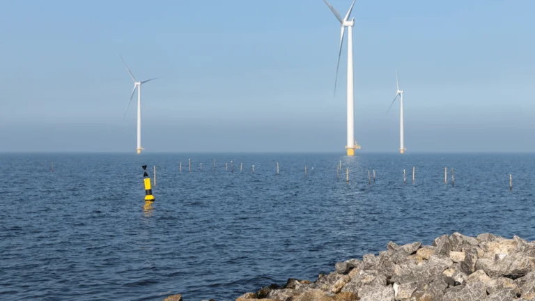 Des éoliennes implantées sur le littoral
